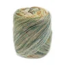 Laines du Nord Baby Soft Fancy (бавовна, соєві волокна) 100г-280м