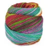 Laines du Nord Paint Sock 6 PLY 75% (вовна, нейлон) 150 гр - 400м Laines du Nord Paint Sock 6 PLY 75% (вовна, нейлон) 150 гр - 400м